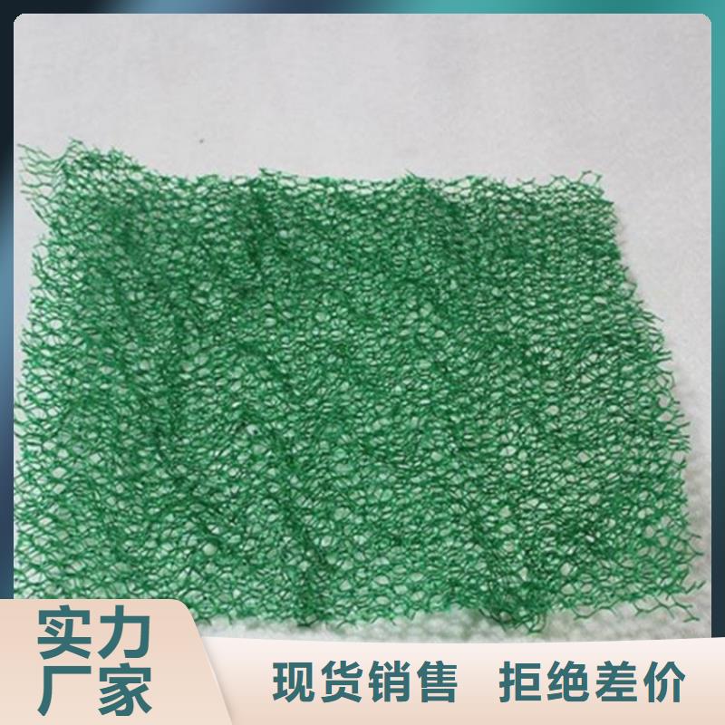 三维固土网垫EM2三维植被网