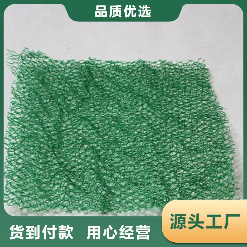 三维固土网垫购买
