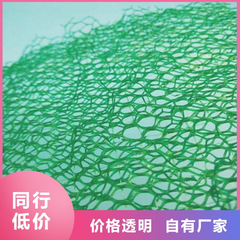 三维土工网垫-三维加筋网垫