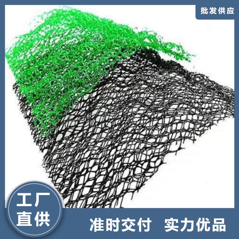 三维固土网垫三维加筋网垫