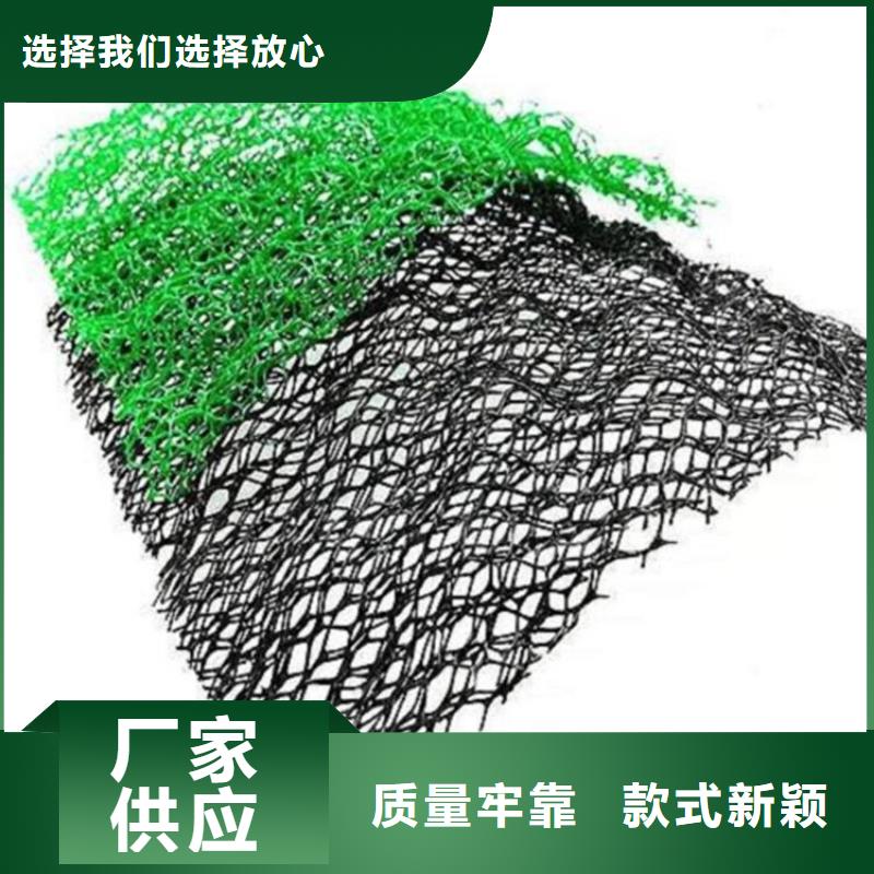 三维固土网垫固土EM3
