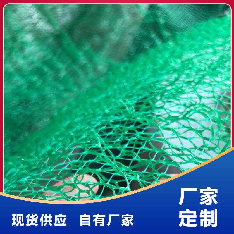 EM4三维护坡植草网垫