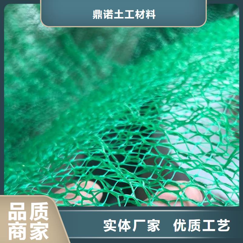 三维植被网-EM3三维固土网垫