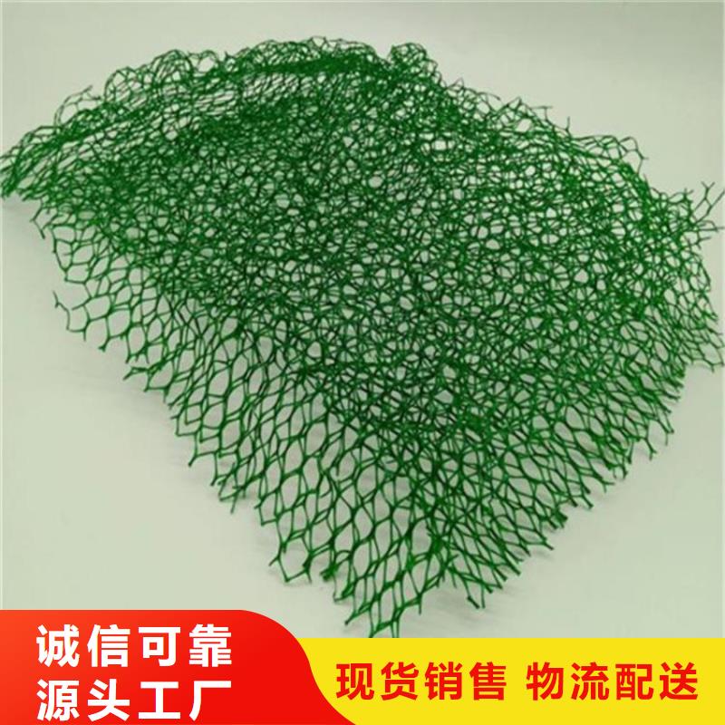三维植被网-膨润土防水毯供货及时