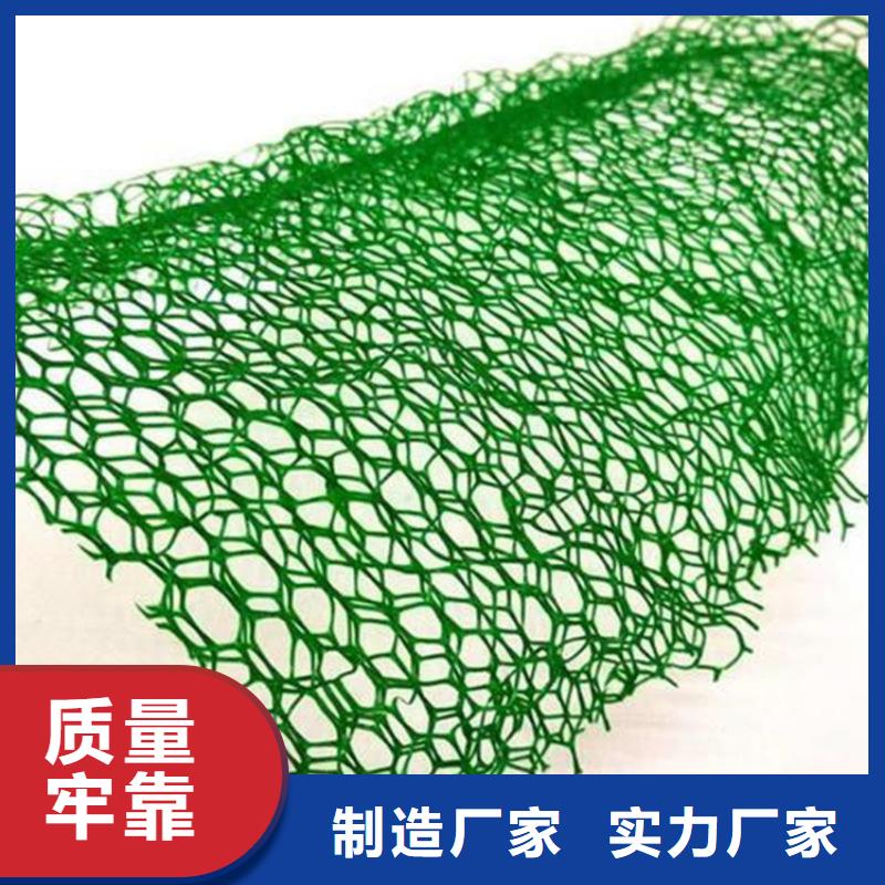 草皮护坡三维固土网垫