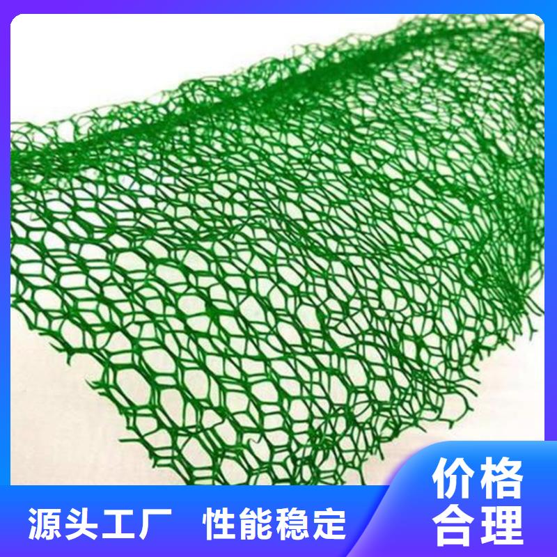 三维植被网-EM3三维加筋网垫