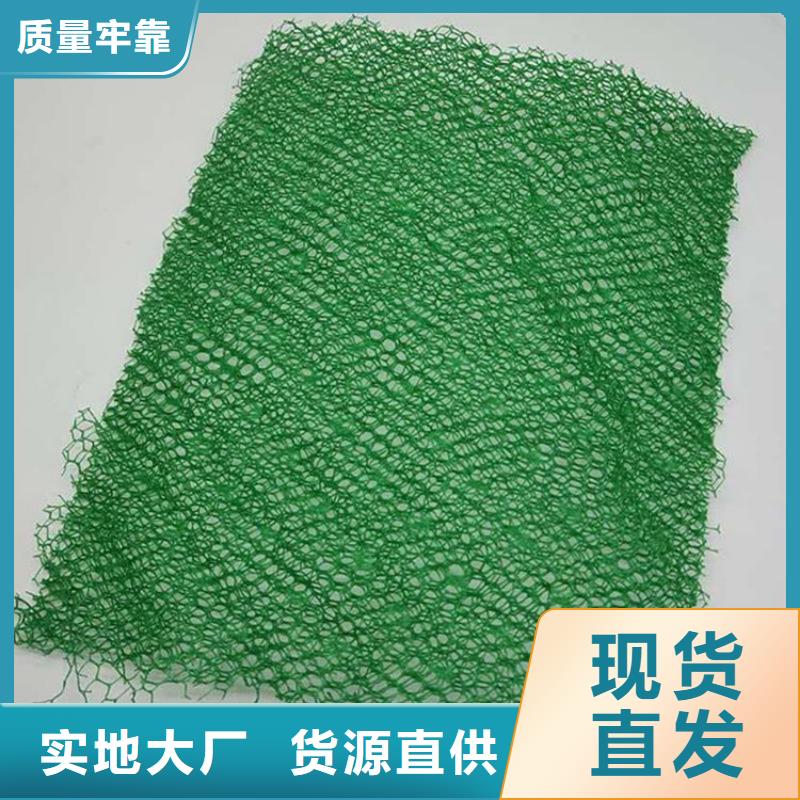 护坡植被植草网塑料EM5