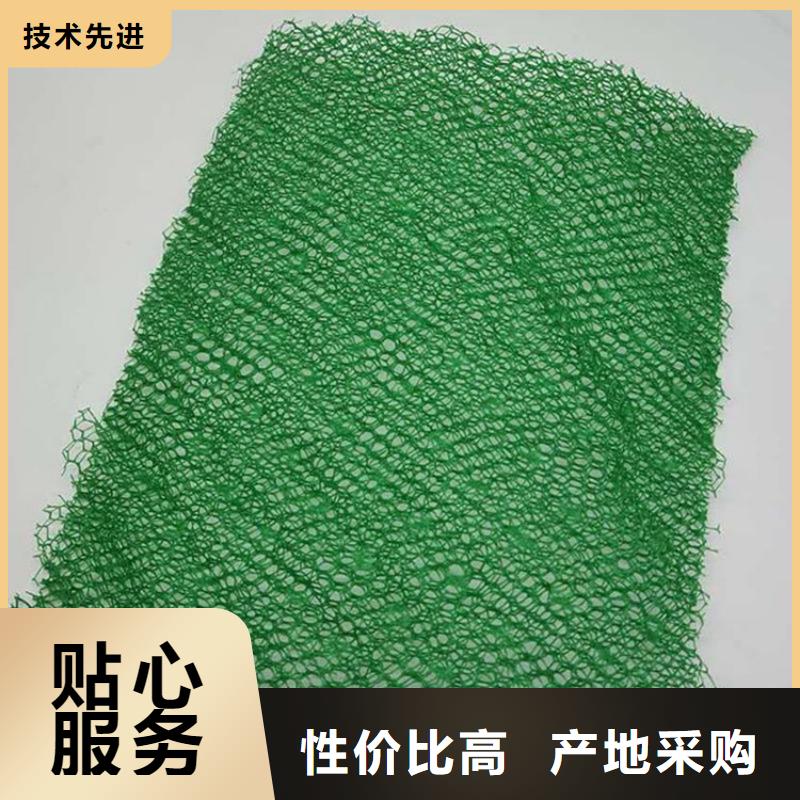 EM3三维加筋网垫厂家-公司代理