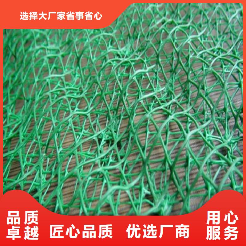 EM4塑料三维土工网垫