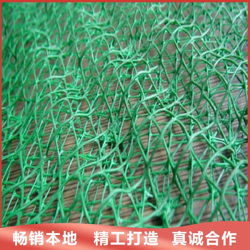 三维植被网厂家-公司经销