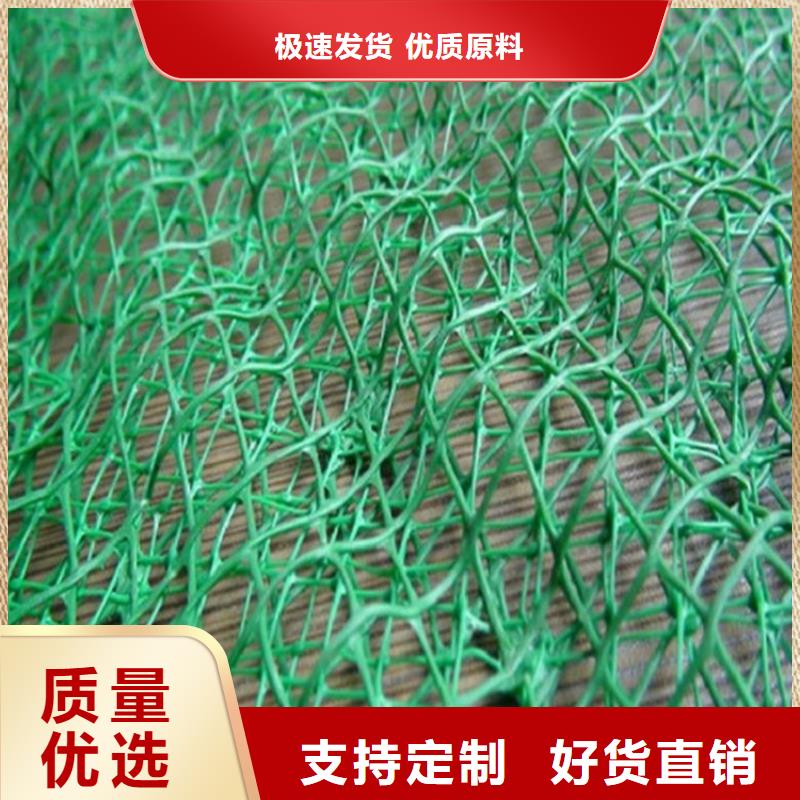 三维植被网厂家批发