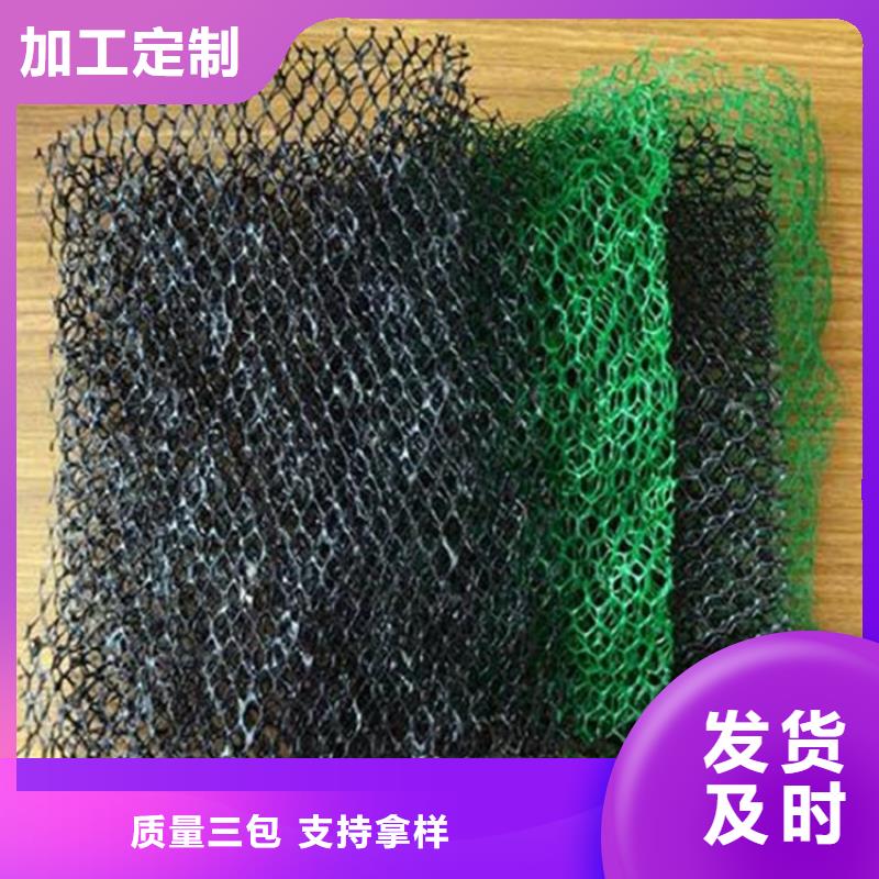 EM4塑料三维土工网垫