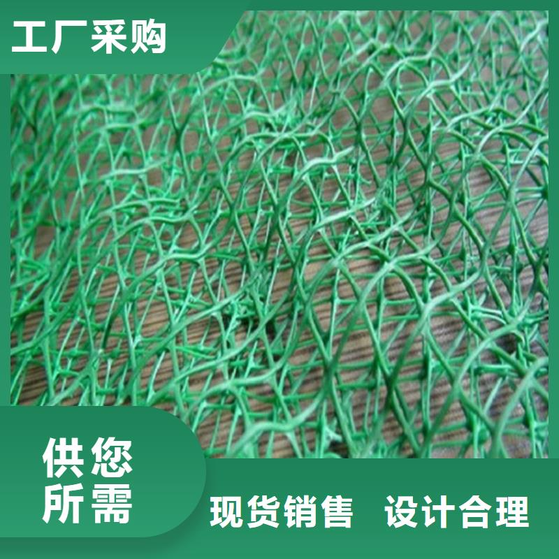 EM3三维加筋网垫厂家-公司代理