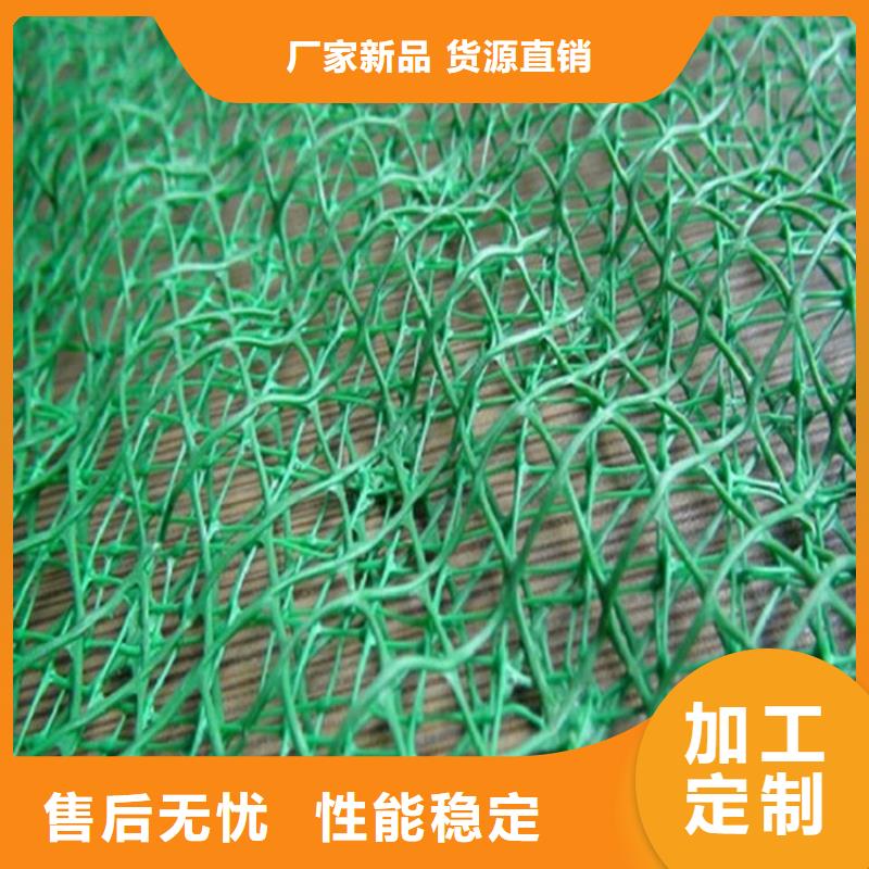 护坡固土三维土工网垫
