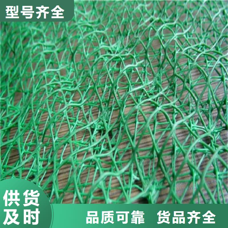 三维植被网动态