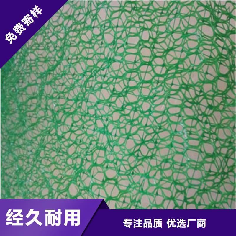 三维植被网_土工布厂家经验丰富