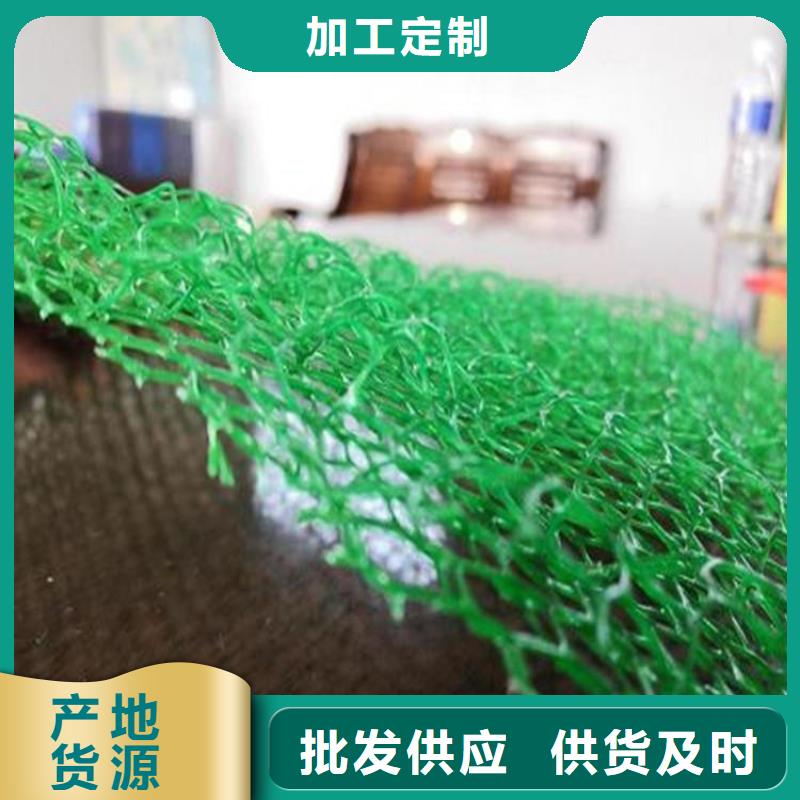 护坡植被植草网塑料EM5