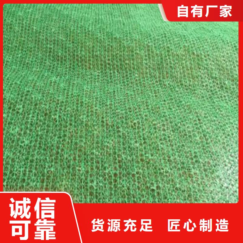EM5三维护坡植草网垫