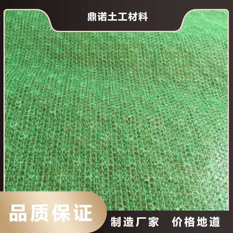 三维土工网垫护坡EM4