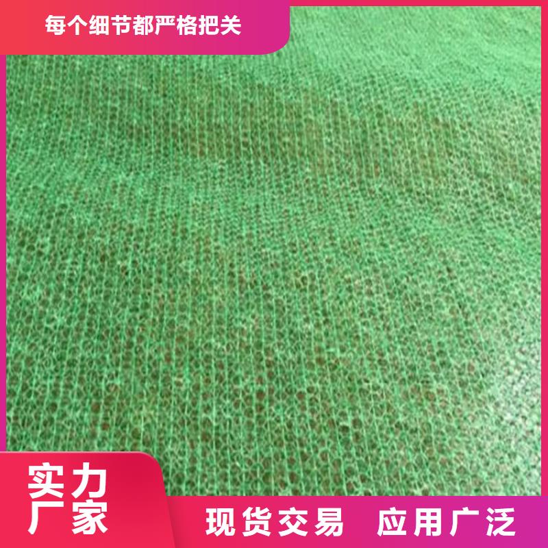 三维土工网垫EM5EM3