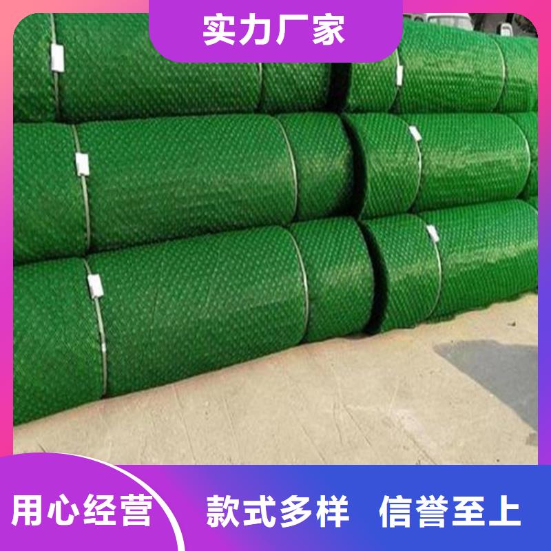 EM5环保加筋护坡植草网垫