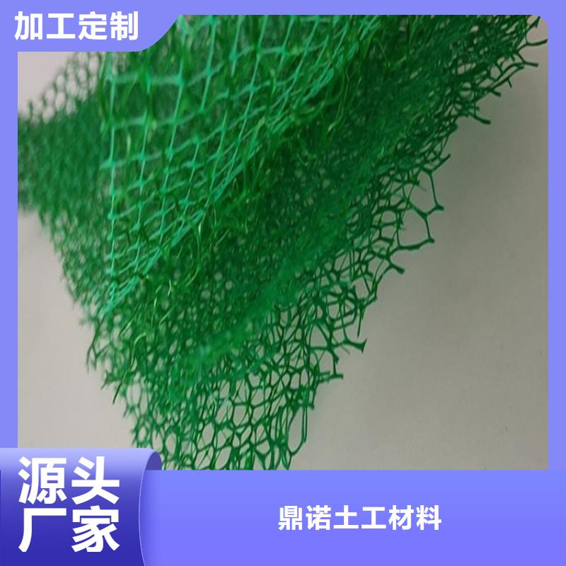 三维植被网环保边坡