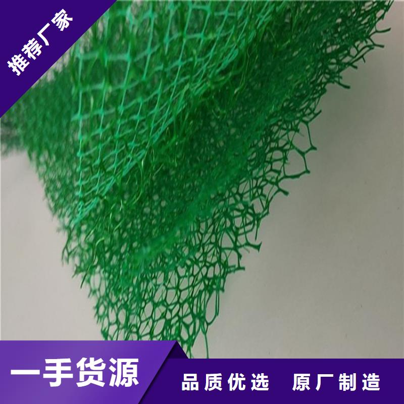 三维植被网-EM3三维土工网垫