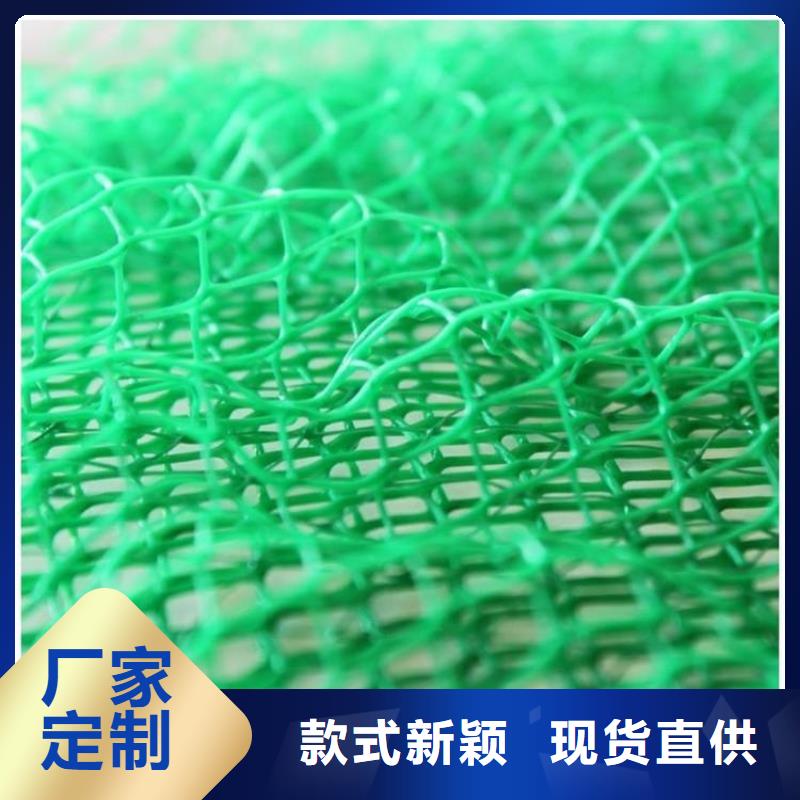 三维植被网_土工布厂家经验丰富