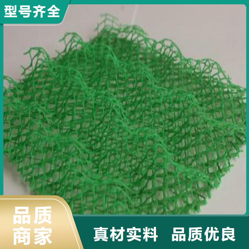 EM3三维土工网垫厂家