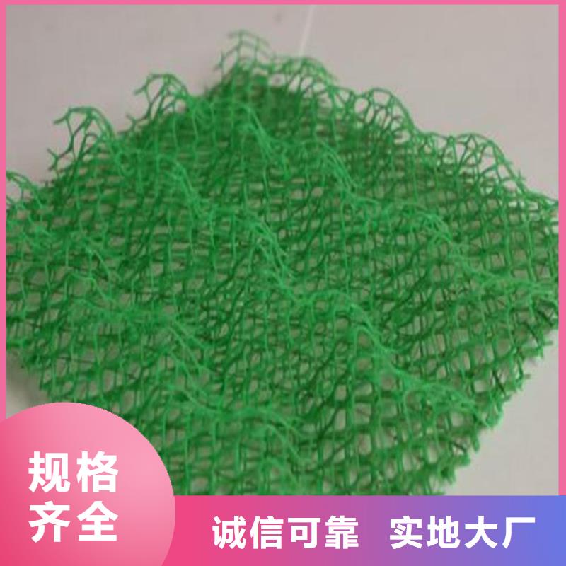 三维植被网_土工布厂家经验丰富