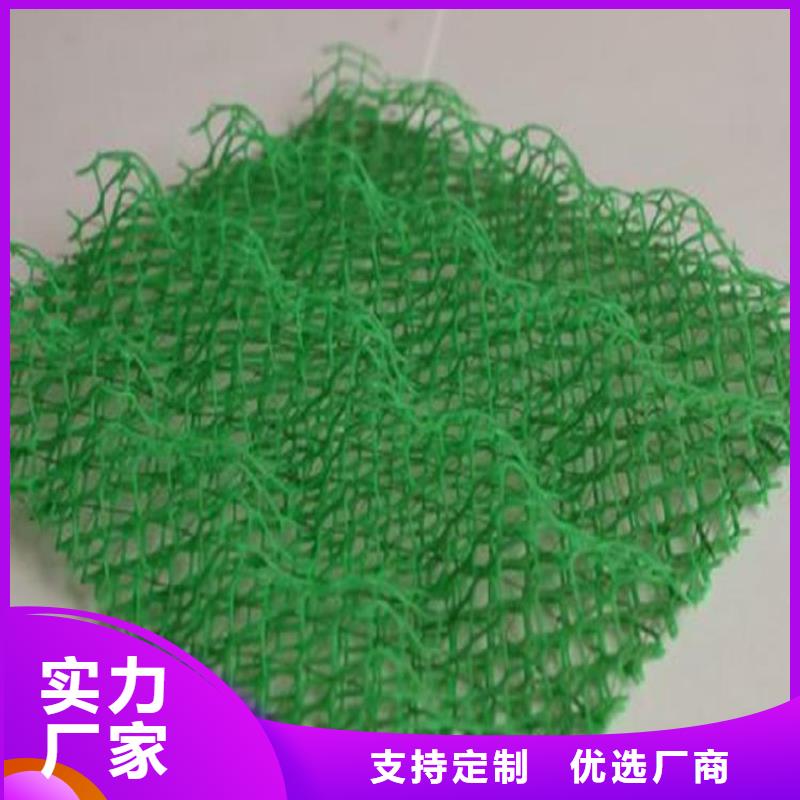 三维植被网护坡EM2