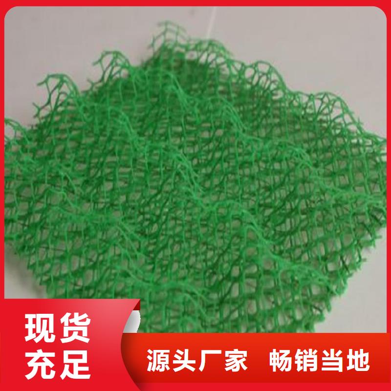 护坡EM3三维土工网垫