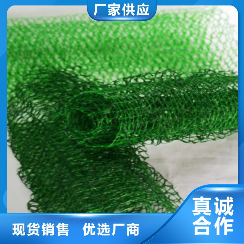 三维固土网垫EM3三维植被网