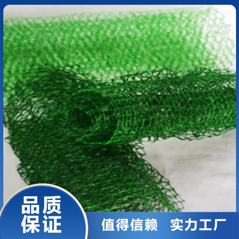 三维固土网垫三维固土网垫