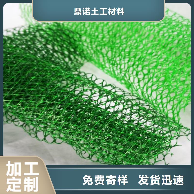 三维土工网垫-EM3三维固土网垫