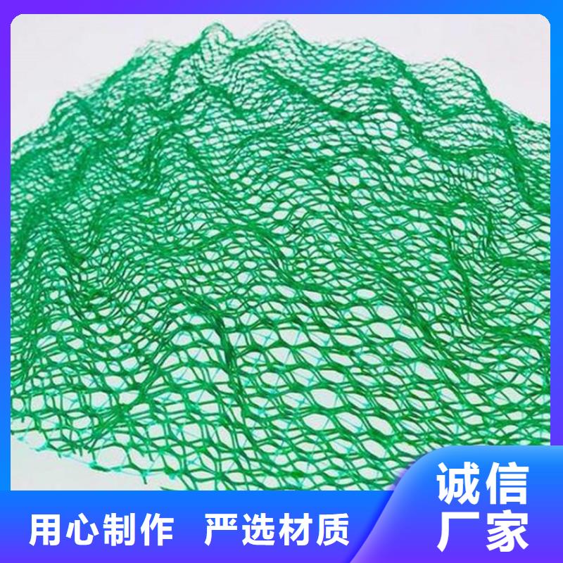 三维植被网土工格栅采购无忧