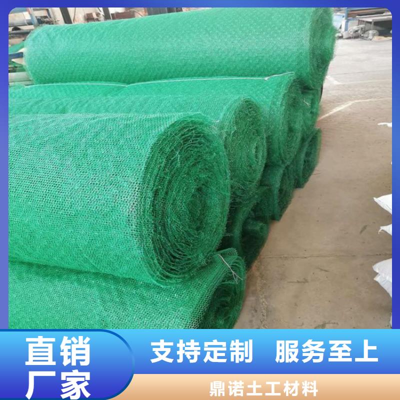 三维固土网垫EM2三维植被网