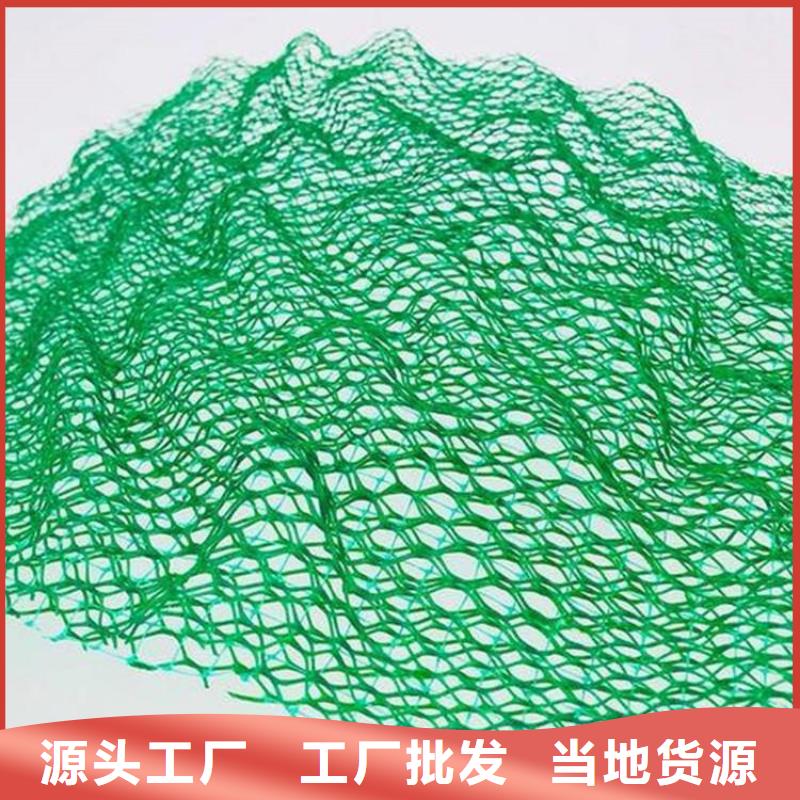 三维土工网垫批发市场