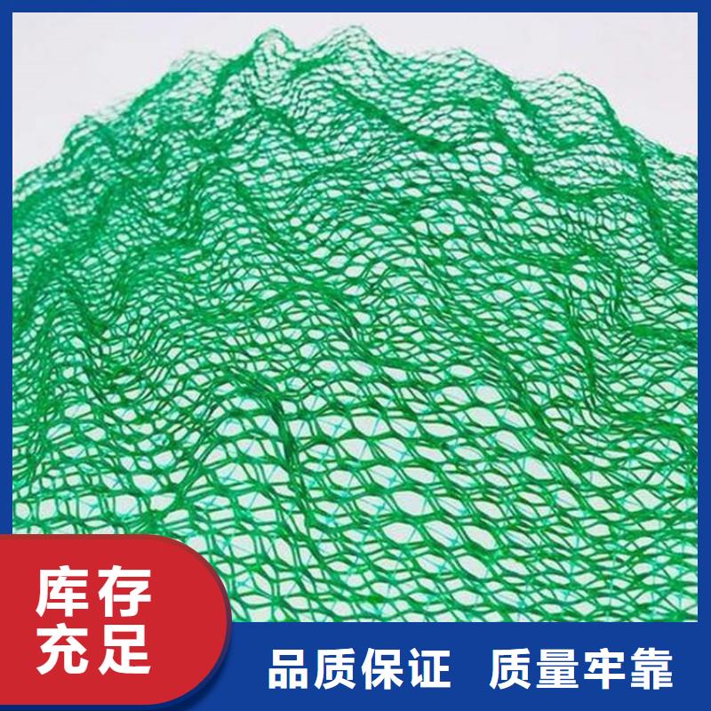 三维固土网垫护坡EM4