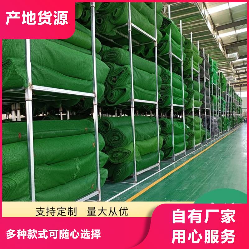 三维植被网-EM3三维土工网垫