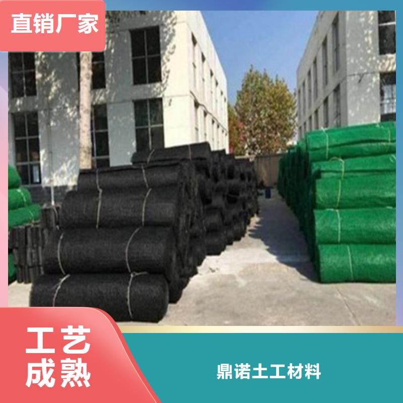 三维土工网垫-EM3三维植被网