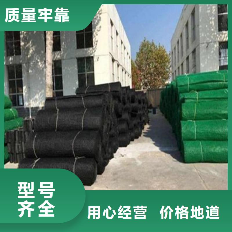 EM4塑料三维土工网垫