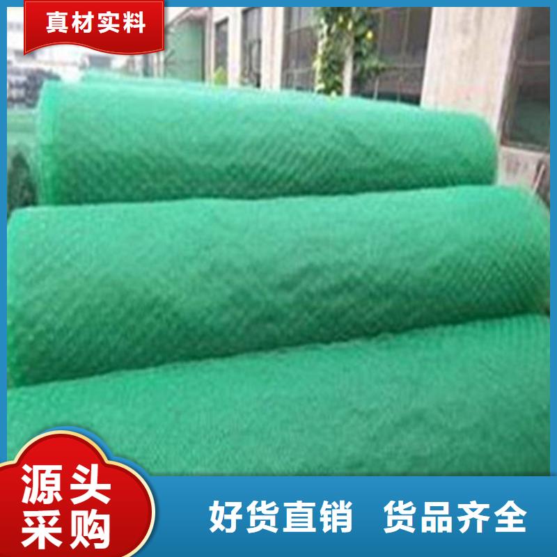 三维土工网垫来图定制