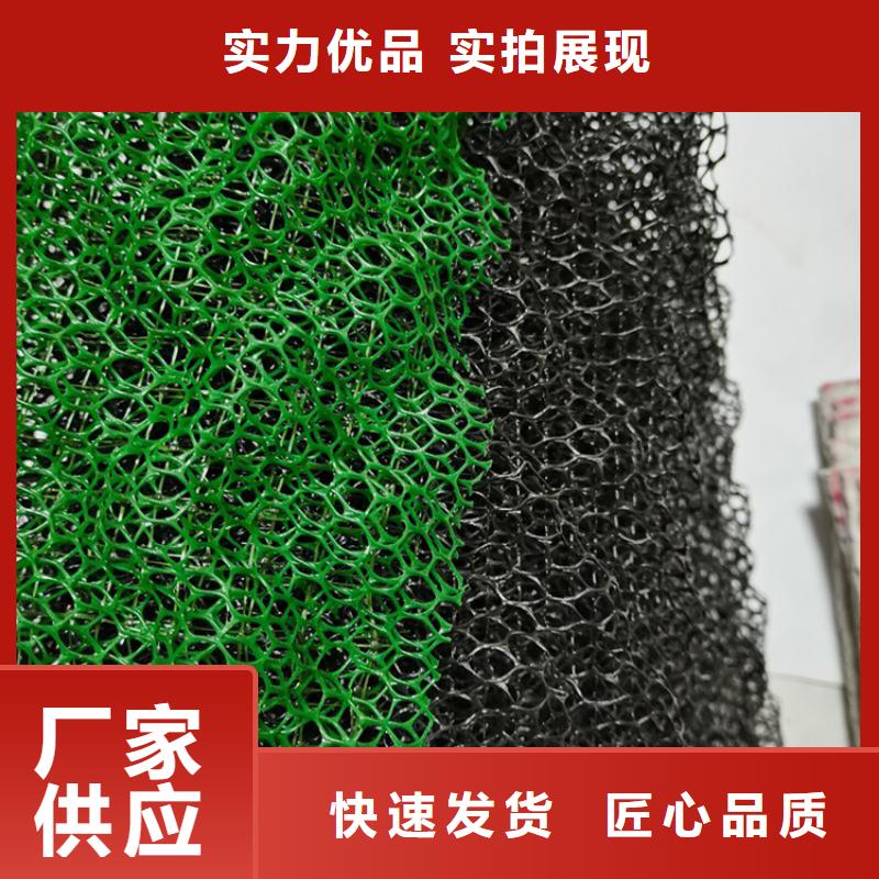 三维土工网垫-EM3三维土工网垫