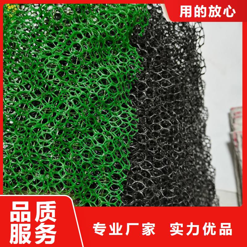 三维固土网垫三维固土网垫