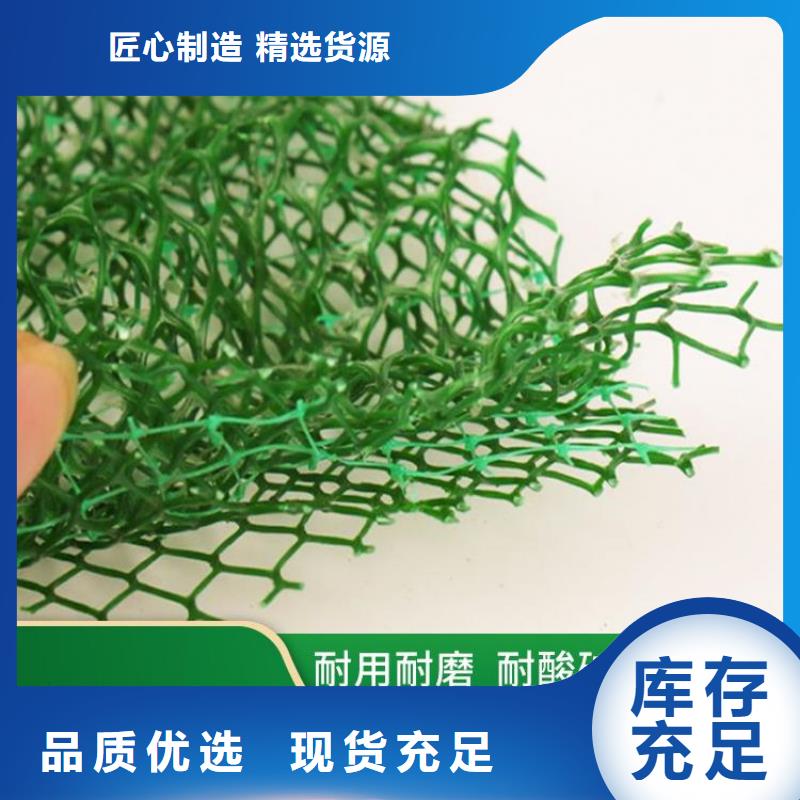 三维植被网-EM3三维固土网垫