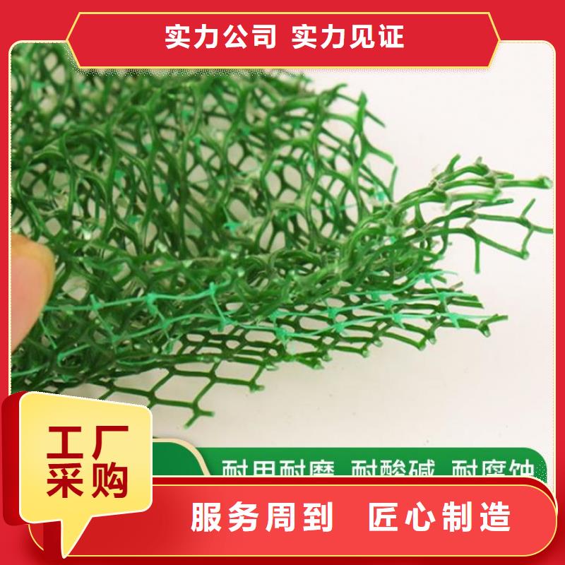 三维植被网-EM3三维加筋网垫