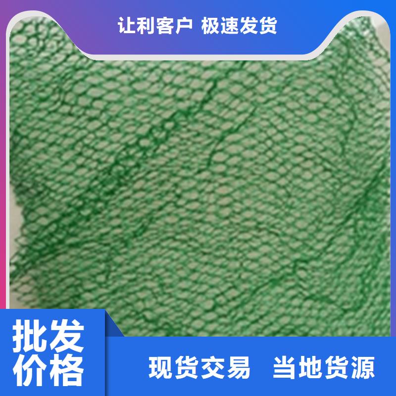 三维固土网垫EM3三维固土网垫