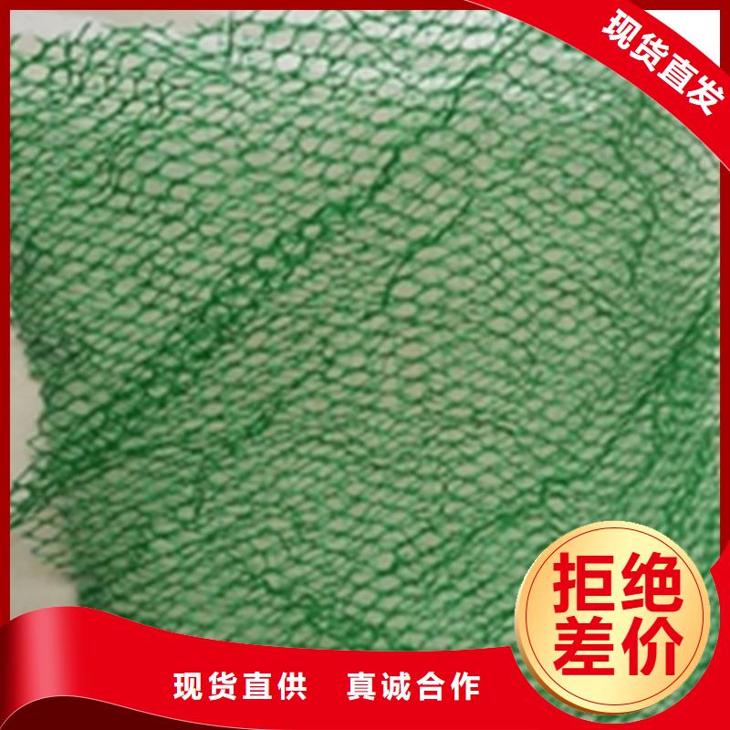 三维土工网垫-三维护坡植草网垫