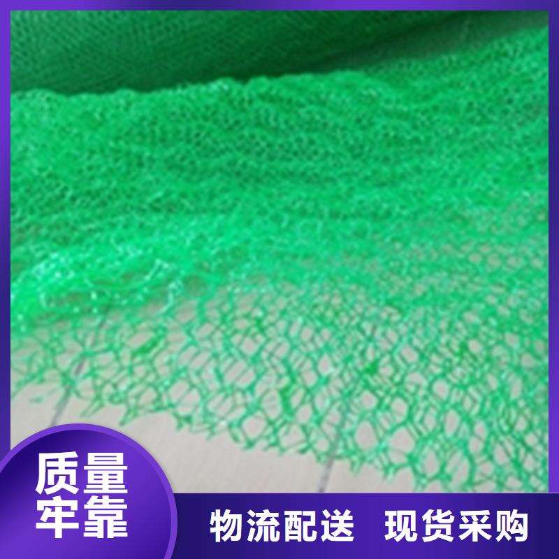 三维固土网垫护坡EM4